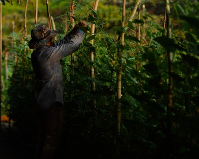 މުއްދަތަށް މަސައްކަތް ނުނިމުނު، ދަނޑުވެރިކަމުގެ ގައުމީ ލެބޯޓަރީ ހުޅުވުން އަންނަ އަހަރަށް