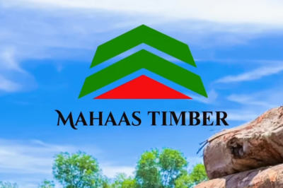 އެޑްވަޓޯރިއަލް: މަހާސް ޓިމްބަރއިން ޒިންމާދާރުކަމާއެކު، އެންމެ މަތީ ފެންވަރުގެ ލަކުޑީގެ އުފެއްދުންތައް ފޯރުކޮށްދިނުމުގައި