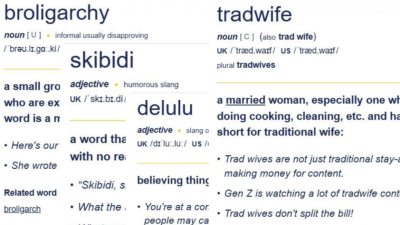 "ސްކިބިޑީ" އާއި "ޓްރެޑްވައިފް" ހިމެނޭހެން، ކެމްބްރިޖްގެ ބަސްފޮތަށް އިތުރު ބަސްތަކެއް