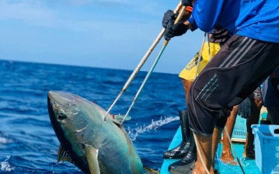 މަސްވެރިކަން ރަނގަޅުވެ، ދޫކުރި ފައިސާގެ އަދަދަށް 50 ޕަސެންޓުގެ އިތުރުވުމެއް