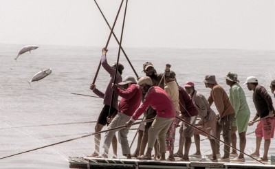 މިފްކޯއިން މަސް ގަންނަ އަގު ބޮޑުކޮށްފިނަމަ އަމިއްލަ ކުންފުނިތައް "ބަނގުރޫޓްވެދާނެ" ކަމުގެ ކަންބޮޑުވުން