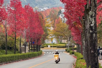 ޖަޕާނު ސްކޮލަޝިޕަށް ކުރިމަތިލުމުގެ މުއްދަތު ހަމަވާން ފަސް ދުވަހަށް ވެއްޖެ