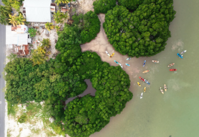 އައްޑޫ ފިށިމަތި ސަރަހައްދު ނުހިއްކިގެން އުޅެންޖެހޭ އެއްވެސް ސަބަބެއް ނެތް: ނަޝީދު