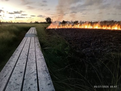 ރޯކޮށްލި މަތިކިޅި އަލުން މަރާމާތުކުރަން ބީލަމަށް ހުޅުވާލައިފި