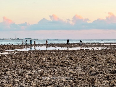 ފަރު މައްޗަށް ގޮސްގެން، ކުޑައިރުގެ ދުވަސްތައް ހަނދާންވޭތަ؟