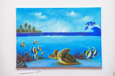 'އެކުއާ ޑްރީމްސް'ގެ ނަމުގައި ޝަމްލާގެ ދެމައިން އެގްޒިބިޝަނެއް ބާއްވަނީ