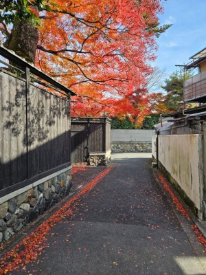 ޖަޕާނު ސްކޮލަޝިޕަށް ކުރިމަތިލުމުގެ މުއްދަތު އިތުރުކޮށްފި