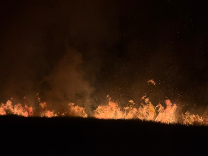 ފުވައްމުލަކުގެ ފުނާޑު އަވަށުގެ ޗަސްބިމުގައި ރޯވެ އަނދަނީ