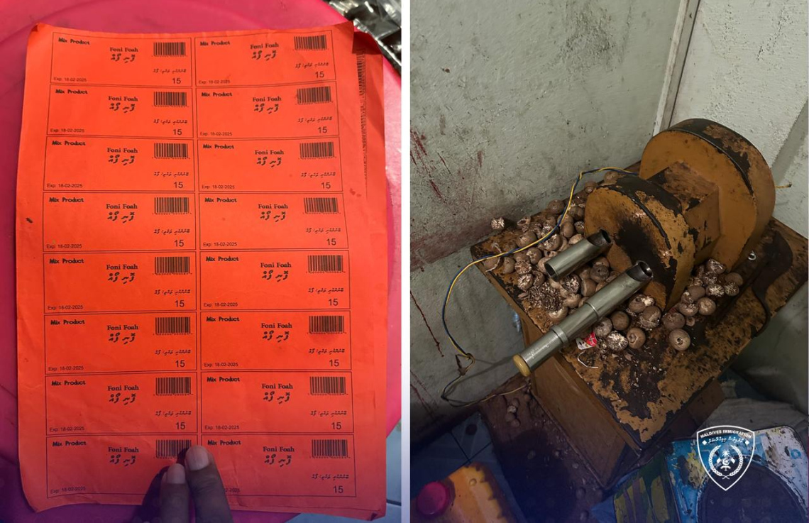 ގަވައިދާ ހިލާފަށް ބިދޭސީން ހިންގި 11 ވިޔަފާރިއެއް ބަންދުކޮށްފި