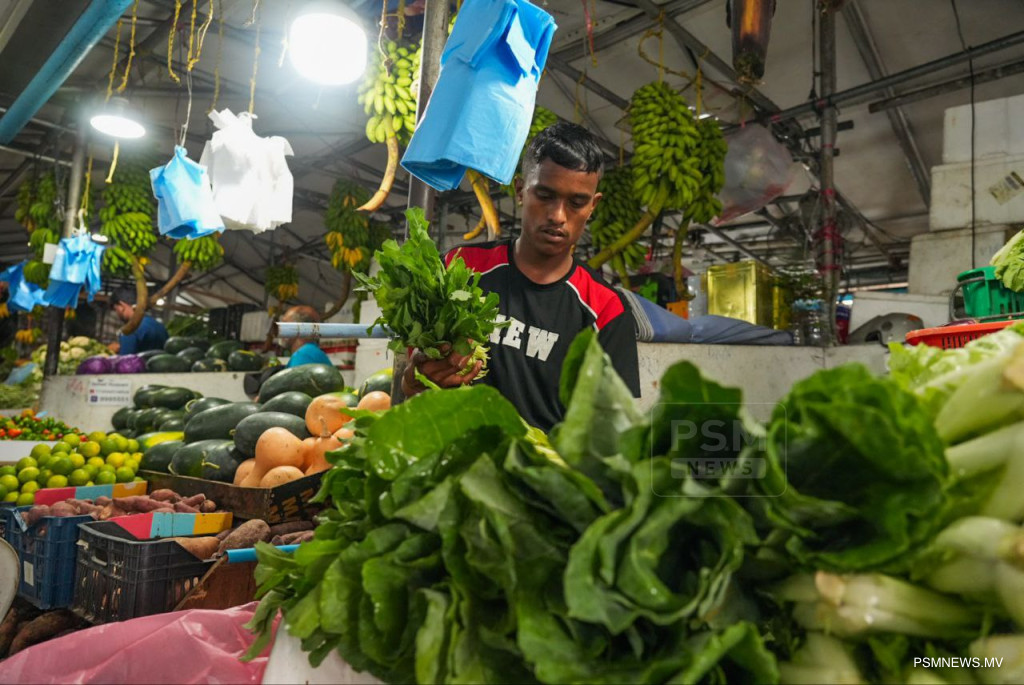 ނޮވެންބަރު މަހު އަސާސީ ކާބޯތަކެތީގެ އަގުތައް ދަށަށް