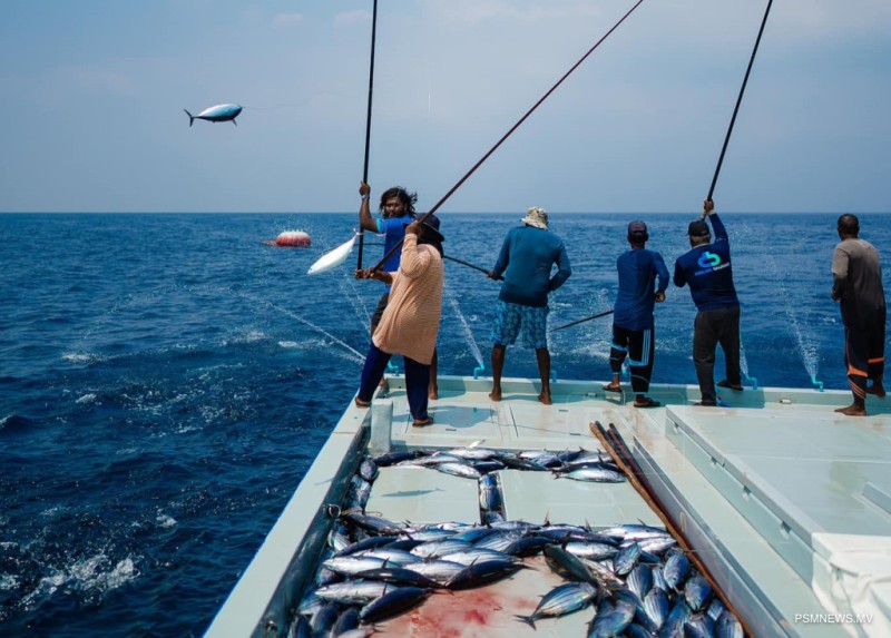 ސަރުކާރުގެ އަމާޒް: މަސްވެރިކަމުން ލިބޭ މަންފާތައް ގިނަކޮށް މަސްވެރިންނަށް ފުރުޞަތުތައް ފަހިކޮށްދިނުން