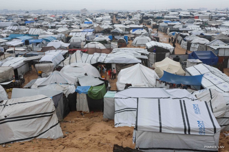 ޣައްޒާގައި  61 މިލިޔަން ޓަނުގެ ގައުކުނޑި، ފިނިމޫސުމުގައި ރައްޔިތުން ހިތްދަތި ޙާލުގައި