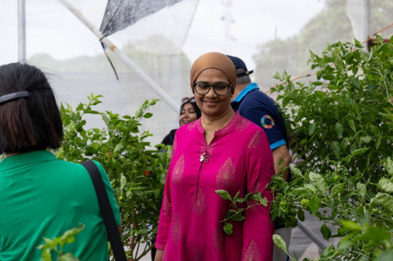 ދަނޑުތަކަށް ޖަހާ ކެމިކަލާއި ކެންސަރުގެ ނުރައްކާ: މިނިސްޓްރީން ކިޔައިދިނީ ގަވާއިދު އޮތްގޮތް!