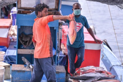 މަސް ޕްރޮސެސް ކުރާ ސާމާނު ގަތުމަށް ހަތަރު ލައްކަ ރުފިޔާއާ ހަމައަށް ފައިނޭންސް ދޫކުރާ ސްކީމެއް