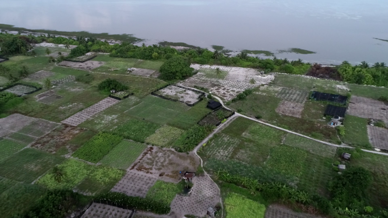 އާބާދީ ކުޑަ ގޮއިދޫގައި 5 އަހަރުތެރޭ 9 މީހަކަށް ކެންސަރު: ދަނޑުތަކުގައި ބޭސް ބޭނުންކުރާ ގޮތް ބަލަން އެދިއްޖެ