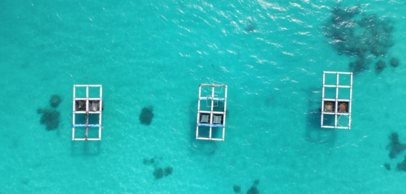 މޫދުކޮށި ގަތުމަށް ފައިނޭންސް ފޯރުކޮށްދިނުމަށް ސްކީމްއެއް ތައާރަފްކޮށްފި