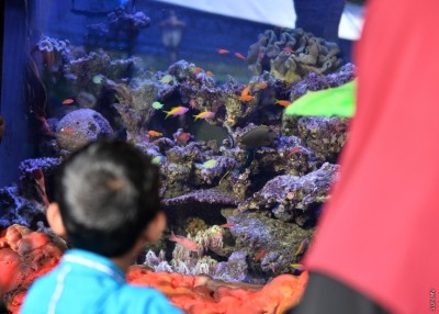 ގެވެށި އަނިޔާ ހުއްޓުވާ އެފްޕީއޭއިން މިދިޔަ އަހަރު، 10 މިލިއަނުގެ ބަޖެޓުން 3،000 ރުފިޔާ ބާކީ ވެސް ކުރި!