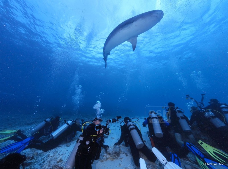 ފުވައްމުލައް ސިޓީ: ދެކުނުގައި ރަށު ފަތުރުވެރިކަން ކުރިއެރުވުމުގައި ނަމޫނާއެއް!