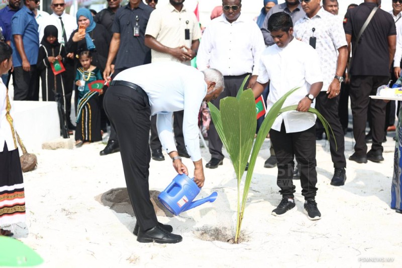 ފަސް މިލިޔަން ގަސް ޕްރޮގްރާމް: ރައީސްގެ ދެކަނބަލުން ދުވާފަރުގައި ގަސް އިންދަވައިފި