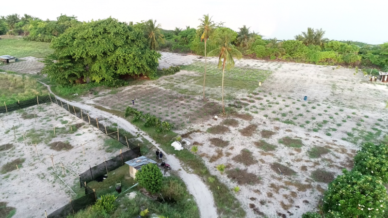 ބ. ގޮއިދޫގައި ކެންސަރު ޖެހޭ ސަބަބު ދެނެގަތުމަށް މައުލޫމާތު އެއްކުރަނީ