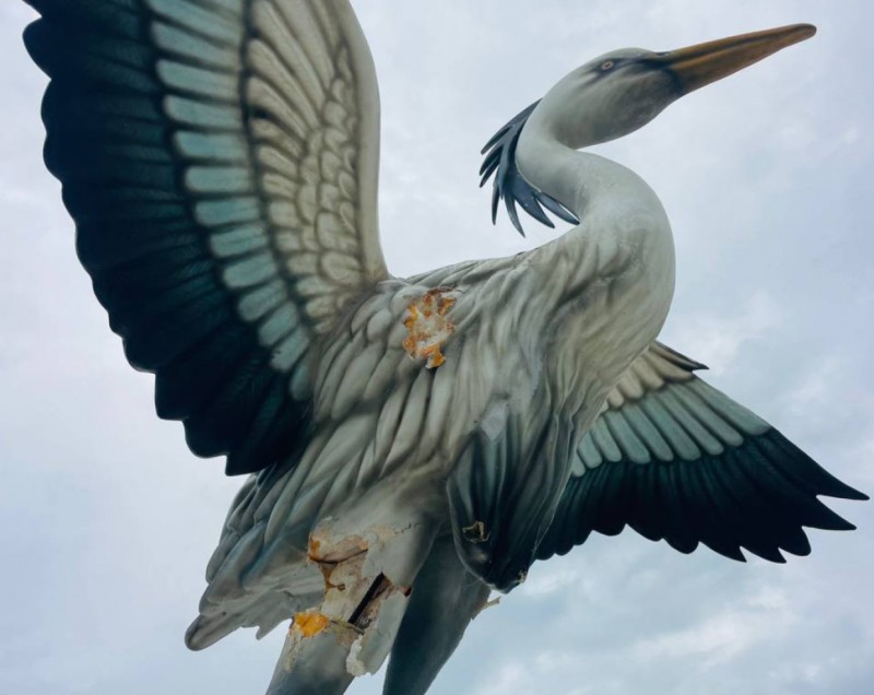 އިންސާނުންނާއި ދިރޭ ތަކެތި ސިފަވާ ގޮތަށް ބިނާތައް ފަރުމާކުރުން ހަރާމްކަމަށް ބުނެ ފަތުވާއެއް ނެރެފި