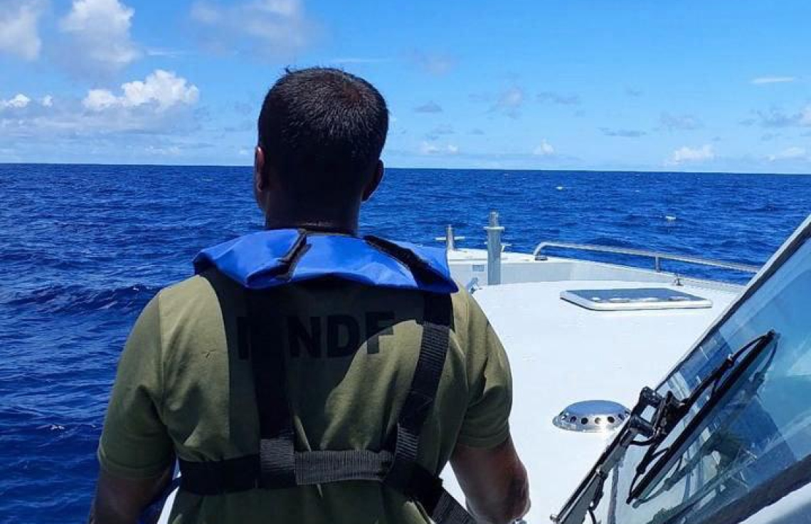 މަރުވެފައި އޮއްވައި ކަނޑުމަތިން ފެނުނީ ލޯންޗަކަށް އަރަން އުޅެނިކޮށް ކަނޑަށް ވެއްޓުނު ޗައިނާ މީހެއް