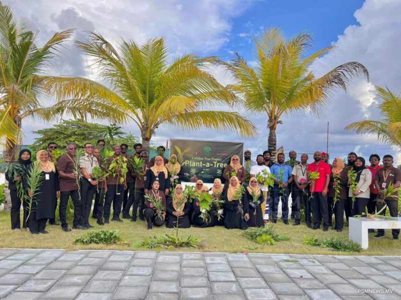 5 މިލިޔަން ގަސް ޕްރޮގުރާމް: މިހާތަނަށް މިލިޔަނަކަށްވުރެ ގިނަ ގަސް އިންދައިފި