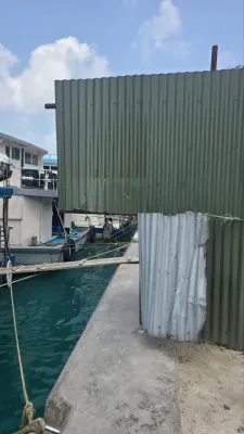 ހުޅުމާލެ އެއްގަމު ތޮށި ކައިރީގައި ޖަހާފައިވާ ޓިނު ބިއްގަނޑު