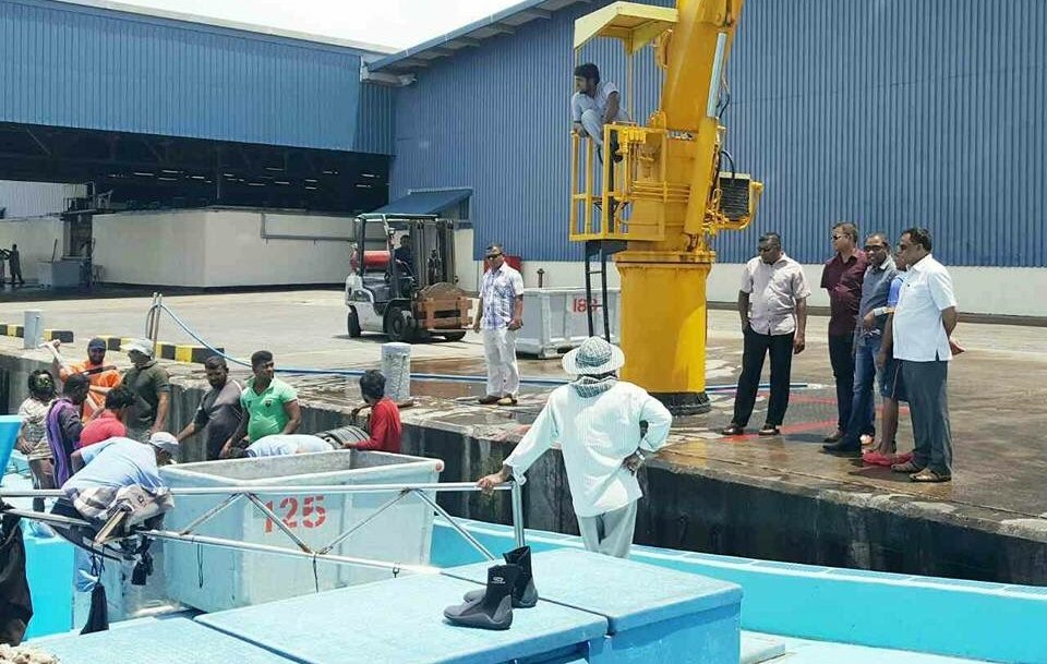 ނޮވެމްބަރު މަހުގެ ނިޔަލަށް 69،000 މެޓްރިކް ޓަނުގެ މަސް އެެކްސްޕޯޓުކޮށްފި