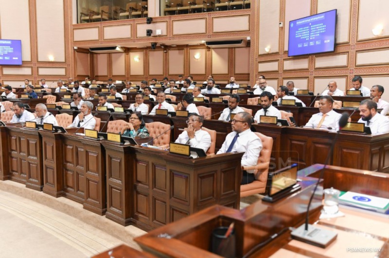 ޒުވާން ޖީލު އުފެއްދުންތެރި ކުރުވަން ޖުވާ ކުޅުން މަނާ ކުރުން މުހިންމު: މެންބަރުން