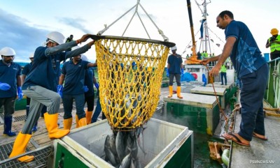 މިދިޔަ އަހަރު ރާއްޖެއިން އެކްސްޕޯޓްކުރި މަހުގެ އަދަދު %87 އިތުރު