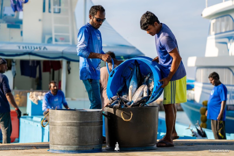 މިދިޔަ އަހަރު ރާއްޖެއިން އެކްސްޕޯޓްކުރި މަހުގެ އަދަދު %87 އިތުރު