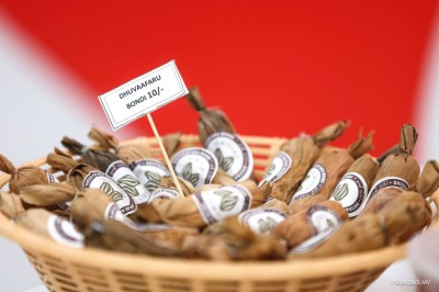 އެސްއެމްއީތައް ކުރިއަރުވައި، ފަންނުވެރި އިޤްތިޞާދަކަށް ބީސީސީން މުހިއްމު މަސައްކަތްތަކެއް!