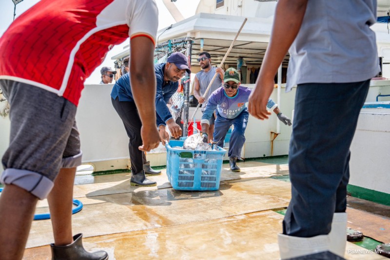 ‎ކަނޑުއޮތްގިރިން ބޮޑު ކަންނެލި ގަންނަން ފަށައިފި