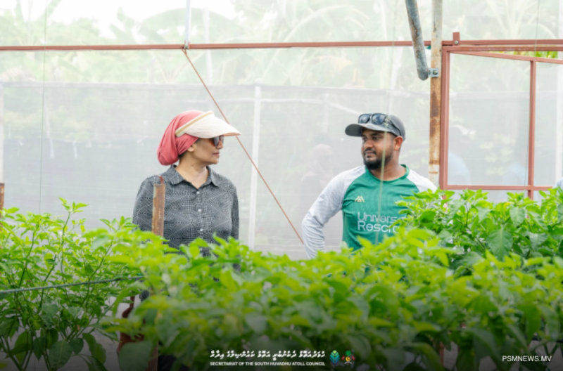 ރޯދަ މަހުގެ ކުރިން "ދަނޑުވެރިޔާ" އެޕް ބޭނުންކުރެވޭ ގޮތް ހަދަން މަސައްކަތްކުރަނީ