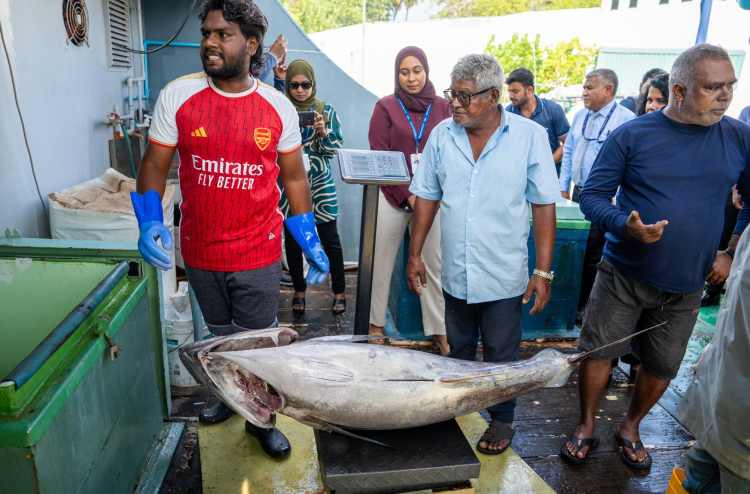 މިފްކޯ އިން ކުދި ކަންނެލި ގަތުމަކީ ރަނގަޅު ފެށުމެއް: މަސްވެރިންގެ ޔޫނިއަން