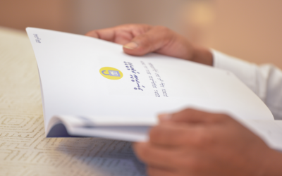 ވަޒީފާ ހޯދައިދިނުން މެންބަރަށް، ސަރުކާރު ޖަވާބުދާރީކުރުވުން ކައުންސިލަށް: ޒިންމާގެ އޮޅުންބޮޅުމެއްތަ؟