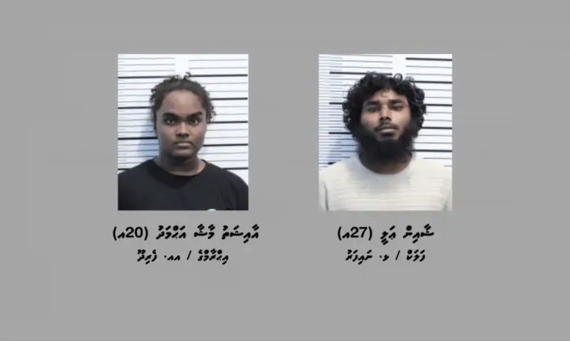 ތިން ކިލޯއަށްވުރެ ގިނަ މަސްތުވާތަކެއްޗާއެކު އަތުލި ދެ ޒުވާނުން 30 ދުވަހަށް ބަންދު