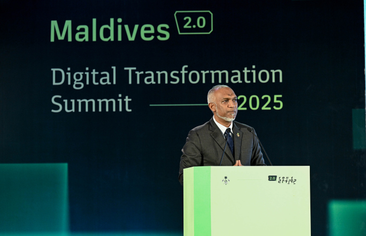 ޑިޖިޓަލް ސާވިސް އުފައްދައި އެންސީއައިޓީ އުވާލައިފި