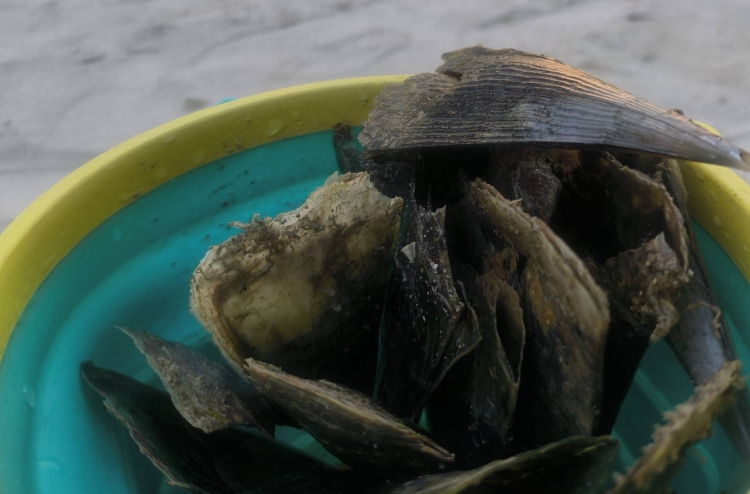 ރަސްފަންނު މޫދުގައި ތޫނު އިތާތަކެއް