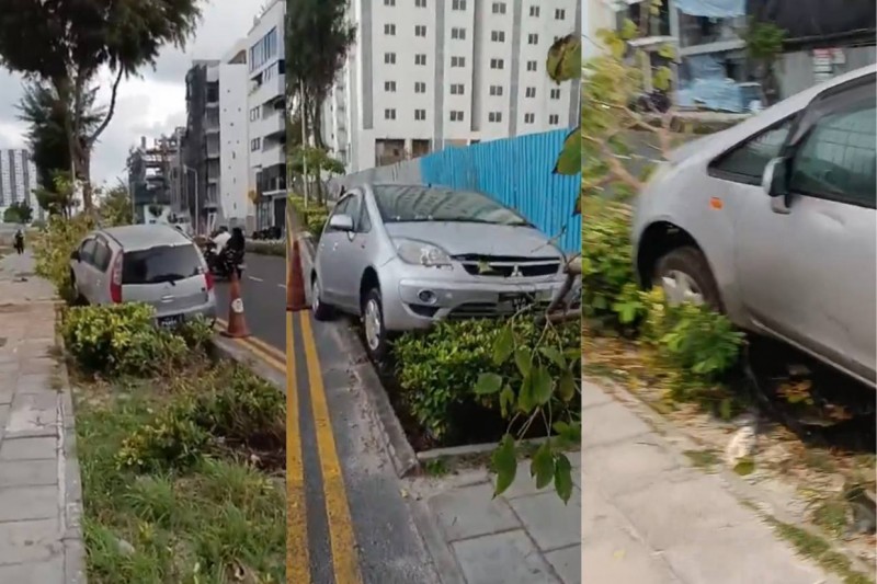 ކާރު ކޮންޓްރޯލްވީ މަގުގެ އެއް ފަރާތުގައި ހުރި ގަހެއްގައި ޖެހި