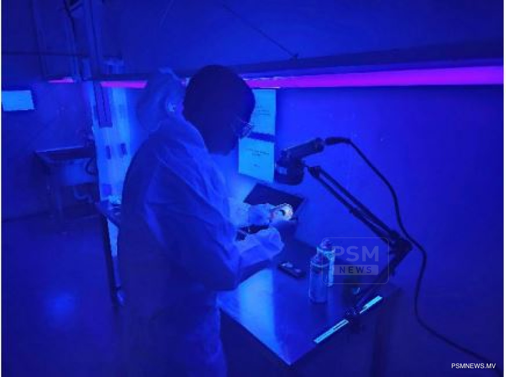 ސިވިލް އޭވިއޭޝަނުގެ ޑީ1 ރޭޓިން މަންޓާ އެއާއަށް