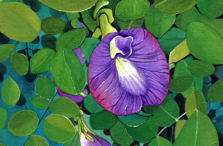 ނަން ރީތިވެފައި ފައިދާ ވެސް ބޮޑީ