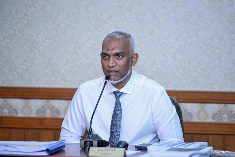 "މޯލްޑިވްސް ޑިޖިޓަލް ސަރވިސް" އުފައްދަވައިފި