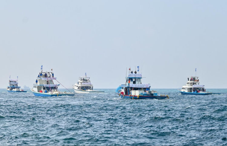 ބޮޑުކަންނެލީގެ ބޮޑު އަގު ގެއްލި، ދޯނިތައް ބޭކާރު؟