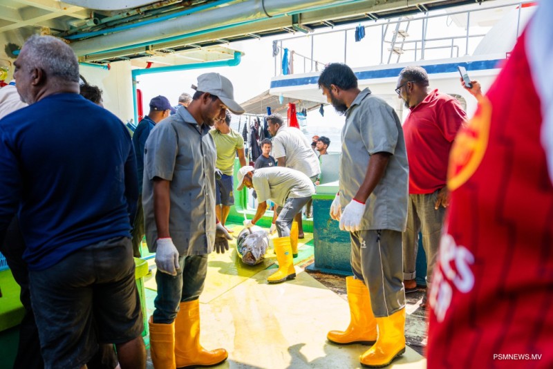 ބޮޑުކަންނެލި ގަންނަން ފެށުމަކީ މަސްވެރިންނަށް ލިބުނު އުއްމީދެއް