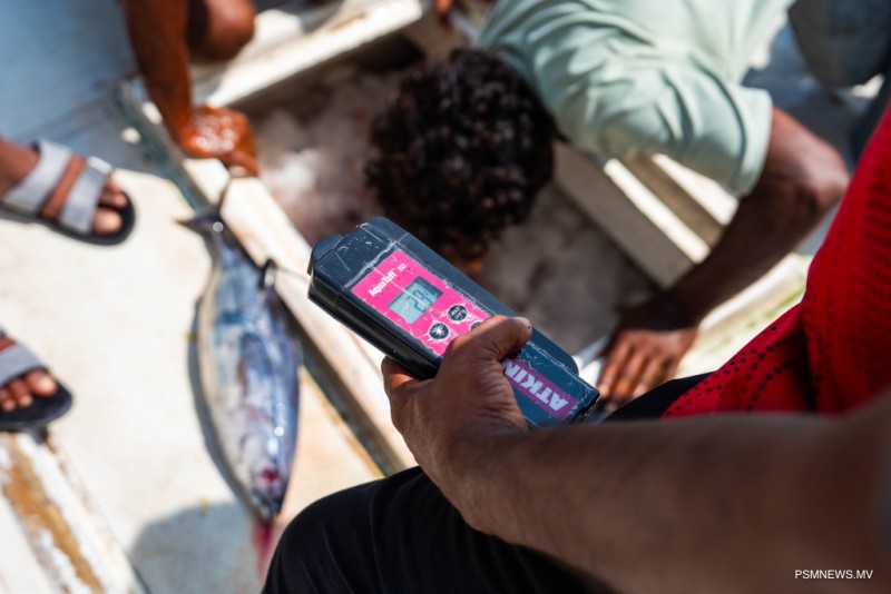 މިފްކޯއިން ބޮޑު ކަންނެލި ގަތުމަށް މިލިޔަނަކަށްވުރެ ގިނަ ރުފިޔާ ދޫކޮށްފި