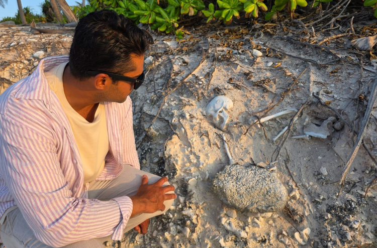 ފުވައްމުލަކު ތުނޑި ސަރަހައްދުން މިނިކަށިތަކެއް ފެނިއްޖެ