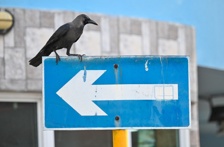 ހުޅުމާލޭގައި ކާޅުގެ ރަސްކަން، މަގުތަކުގައި ނަޖިސް