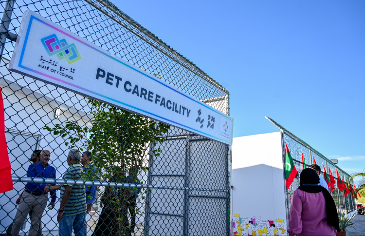 އޮޅުހިޔާގެ ބައެއް ތަންތަން މަރާމާތު ކޮށްދޭނެ ބަޔަކު ހޯދަނީ